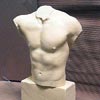 male-torso-foam